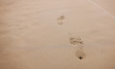 Fototapeta na wymiar Closeup of footprints from bare feet on sand. Rest at sea concept