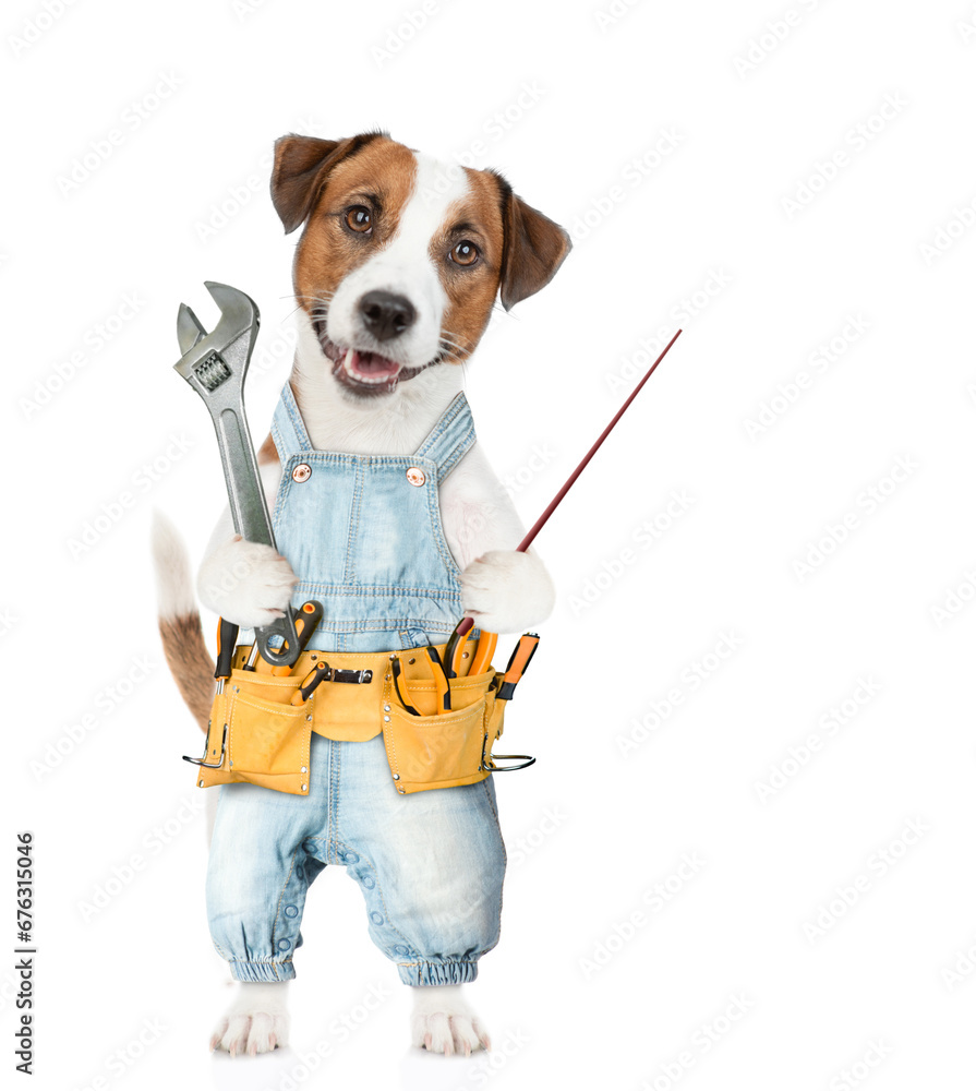 Poster funny jack russell terrier puppy wearing denim overalls with tool belt holds adjustable wrench point
