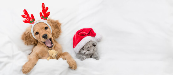 Yawning English Cocker spaniel puppy dressed like santa claus reindeer  Rudolf lying with cozy...