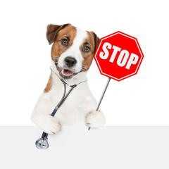 Smart jack russell terrier with stethoscope on his neck shows stop sign. isolated on white...