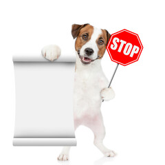 jack russell terrier holds stop sign and shows empty list. Isolated on white background