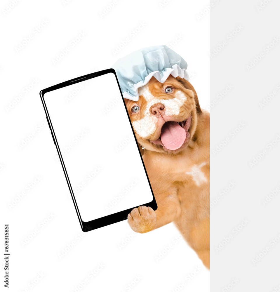 Poster mastiff puppy wearing shower cap with cream on it face holds big smartphone with white blank screen 
