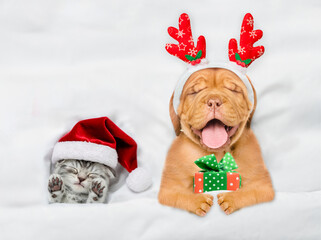 Yawning Mastiff puppy dressed like santa claus reindeer  Rudolf holding gift box and sleeping with...