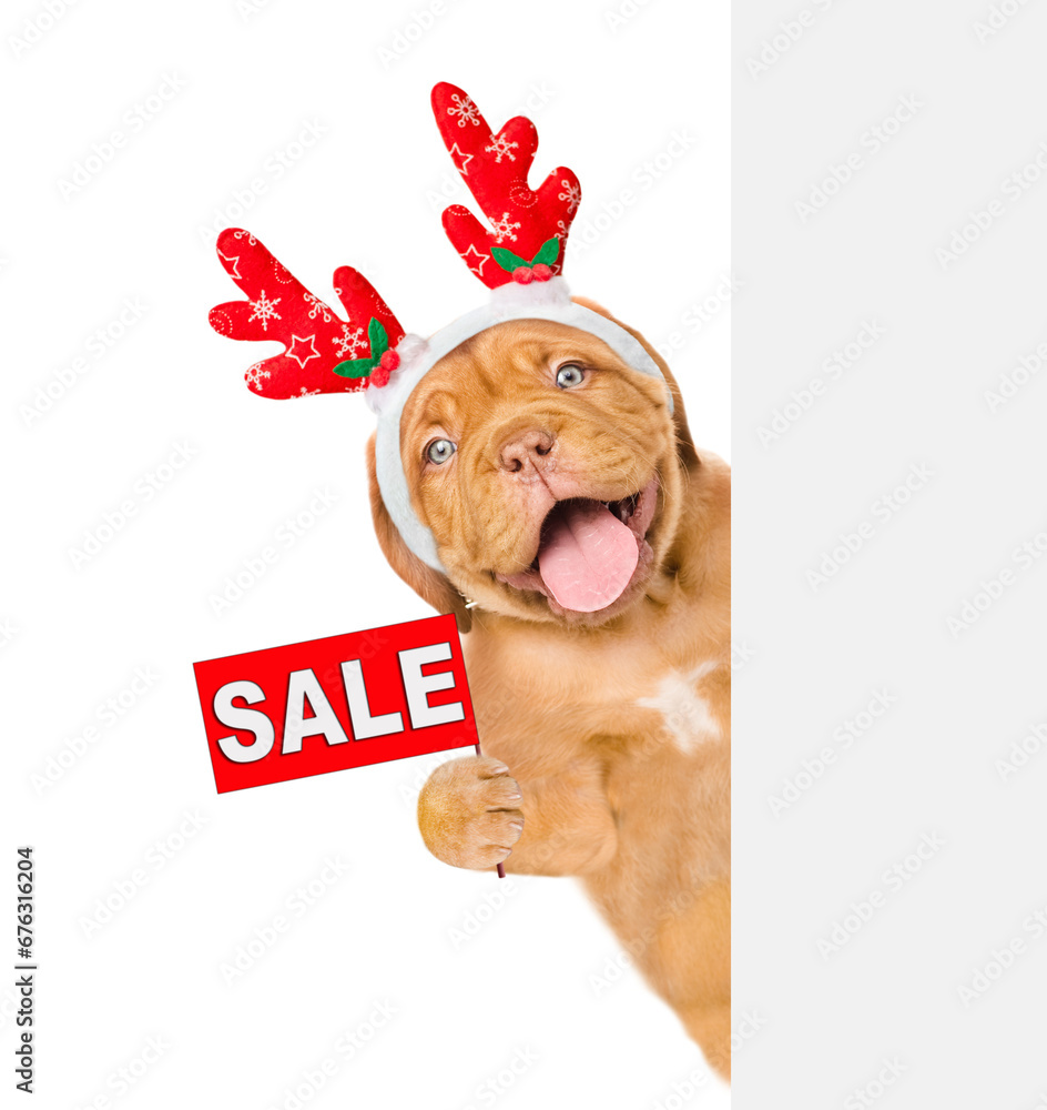 Poster happy mastiff puppy dressed like santa claus reindeer rudolf looking from behind empty white banner 