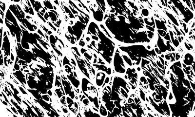 Grunge chaotic detailed black abstract texture. Vector background