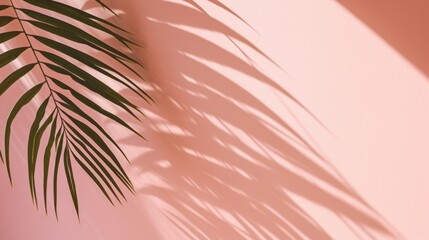 Fototapeta na wymiar Palm leaves and shadow,Light pink background for product presentation with natural light and shadow