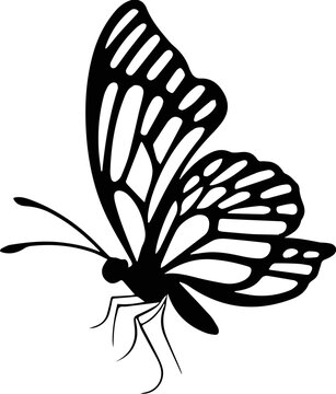 Side view flying butterfly svg stencil