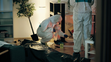 A team of forensic experts is gathering evidence at the crime scene while investigating a murder - obrazy, fototapety, plakaty