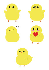 병아리 chick