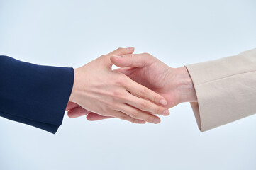 Two men and women in suits are shaking hands.