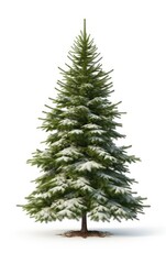 Christmas Tree in snow isolated white background