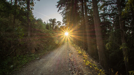 sunset on the mountain trail of the Ślęża massif, Lower Silesia