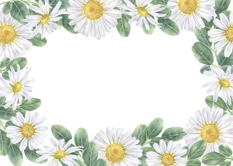 Obraz premium Daisy flower rectangular Frame border. Watercolor botanical illustration of white Chamomile. Hand drawn bouquet on isolated background. Drawing of floral template for cards and wedding invitations