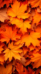 Fototapeta premium Fall leaves background with orange colorful leaves filling ebtire frame 