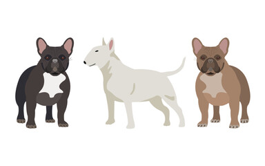 group of dogs isolated. bull terrier and french bulldog vector illustration.