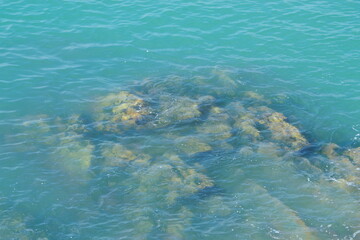Rocks under clear sea water