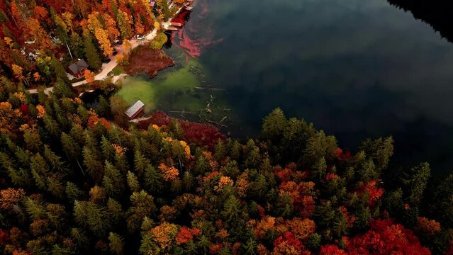 Top View Of  Colorful Forest At The Lakeshore Of Toplitz During Autumn In Austria.