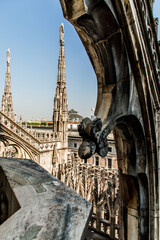 Naklejka premium Roof of Milan Cathedral Duomo di Milano