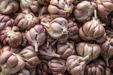 Close up of a pile of garlic bulbs
