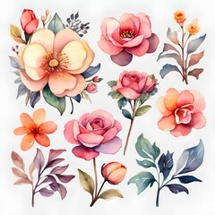 Blossoming Beauty - Watercolor Flower Illustrations Set  Add a Touch of Pink Roses an Nature to Your Designs