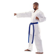 Man, karate and fist with blue belt for martial arts or self defense training isolated on a transparent PNG background. Profile of male person or fighter in pose or stance for punch or taekwondo © Shubham/peopleimages.com
