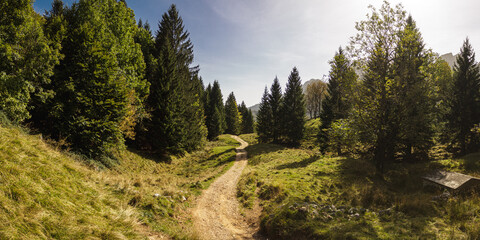 Sentiero dei grandi alberi a Vicenza