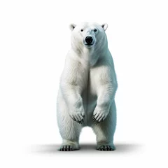 Foto op Canvas A polar bear standing on isolated background. Generated AI © Paradoxx