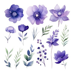 Obraz premium Set of watercolor purple flowers leaves and twigs on a transparent background, png