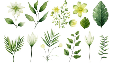 Obraz premium Set of watercolor green flowers leaves and twigs on a transparent background, png