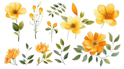 Set of watercolor yellow flowers leaves and twigs on a transparent background, png