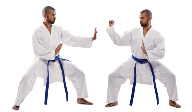 Man, karate and face off in martial arts or self defense training with blue belt isolated on a transparent PNG background. Profile of male person or fighter in pose, style or technique for taekwondo