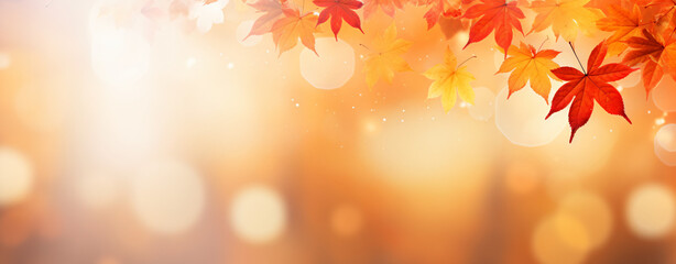 Naklejka na ściany i meble Yellow and red autumn maple leaves on blurred background