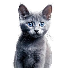 Russian Blue cat