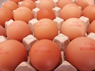 Uova biologiche appena deposte con marchio generico BIO