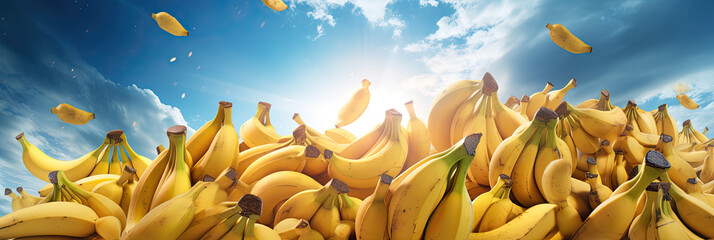 Fresh Organic Bananas Pattern