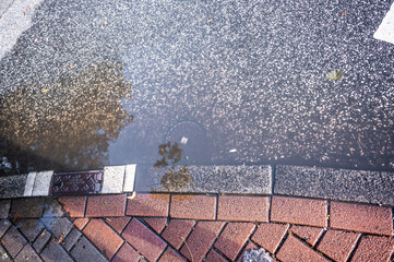 Street Reflections: Puddle After the Rain