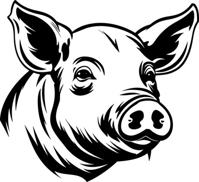 Pig head silhouette in black color. Vector template.