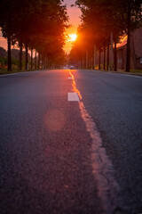 This picturesque scene features the sun rising over an open asphalt road, set in the European countryside. The image perfectly captures the tranquil beauty of a sunny morning or evening, reflecting