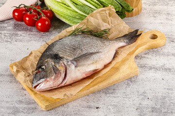 Raw dorada fish served rosemary