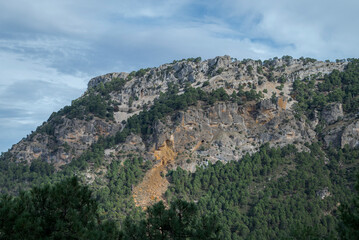Fototapeta na wymiar Forest of Austrian pine and Maritime pine over limestones mountains in the Natural Park of Cazorla, Segura y las Villas, in the province of Jaen, Andalusia, Spain
