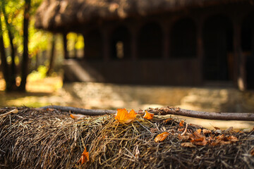 Autumn orange color leaf on a reed fence with old house in background. Folk scenery autumn landscape.