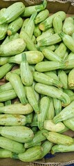 Fresh green Zucchini Vegetable on the market