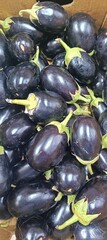 eggplants on a market stall