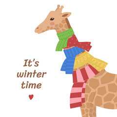 Fototapeta premium Cute giraffe with many scarves around his neck isolated on a white background. Winter time, stay warm. Vector illustration for greeting card, poster, banner