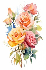 colorful watercolor of rose on white background