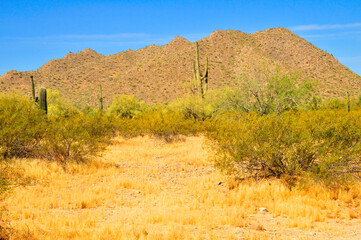 San Tan Mountains Sonora Desert Arizona