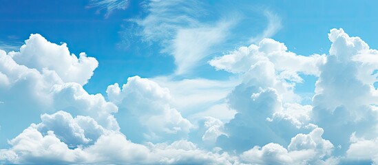 The blue sky filled with fluffy clouds provides a beautiful background for a summer day in nature where the light illuminates every aspect of the surroundings