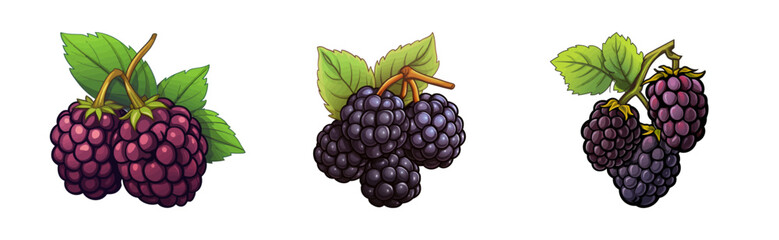 Cartoon blackberry fruit. Vector illustration