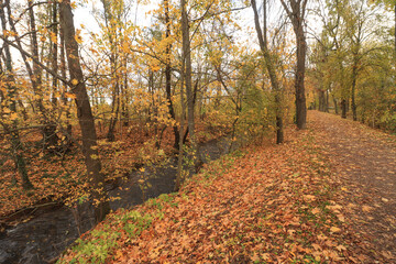 Herbstlicher Geraradweg bei Arnstadt