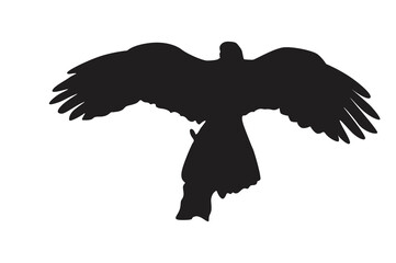Pose Of Eagle Silhouette With Transparent Background